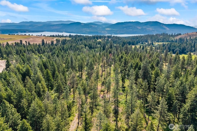 8XX Nancy Creek Rd, Kettle Falls, WA 99141