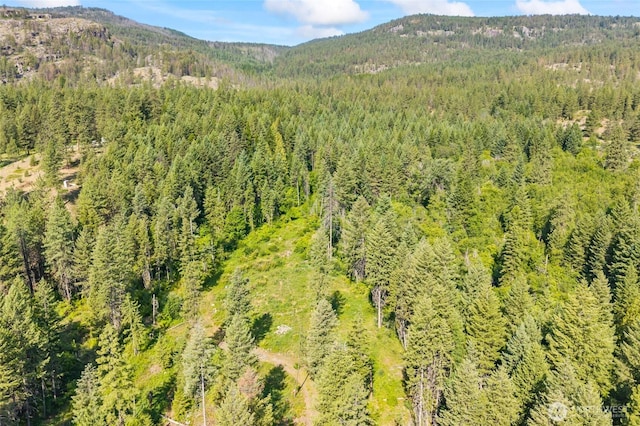 8XX Nancy Creek Rd, Kettle Falls, WA 99141