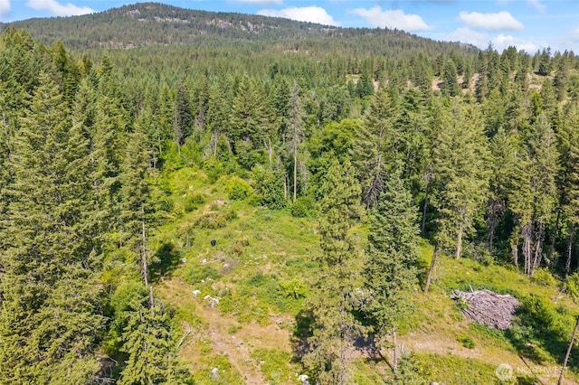 8XX Nancy Creek Rd, Kettle Falls, WA 99141
