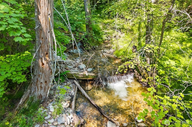 8XX Nancy Creek Rd, Kettle Falls, WA 99141
