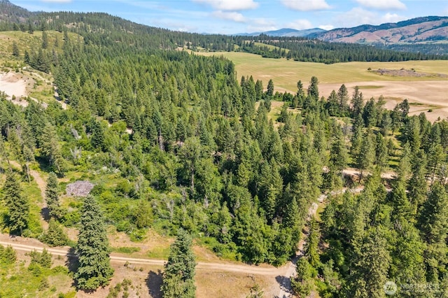 8XX Nancy Creek Rd, Kettle Falls, WA 99141