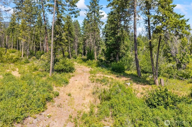 8XX Nancy Creek Rd, Kettle Falls, WA 99141