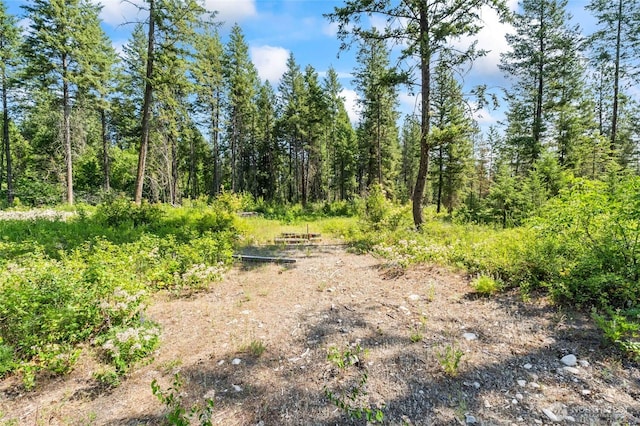 8XX Nancy Creek Rd, Kettle Falls, WA 99141
