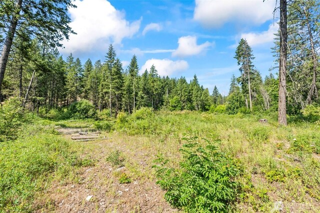 8XX Nancy Creek Rd, Kettle Falls, WA 99141