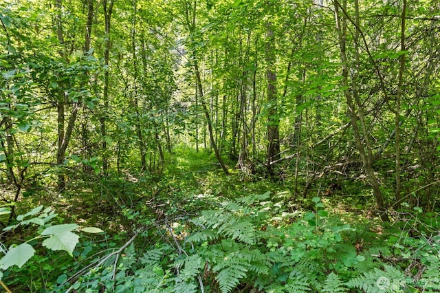 8XX Nancy Creek Rd, Kettle Falls, WA 99141