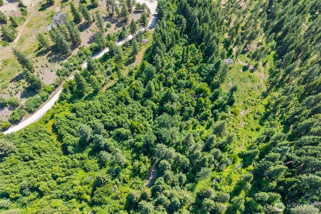 8XX Nancy Creek Rd, Kettle Falls, WA 99141