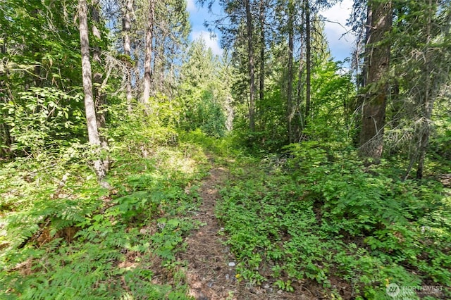 8XX Nancy Creek Rd, Kettle Falls, WA 99141