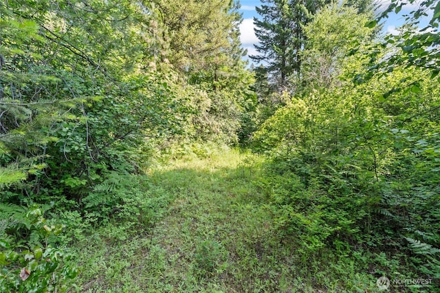 8XX Nancy Creek Rd, Kettle Falls, WA 99141