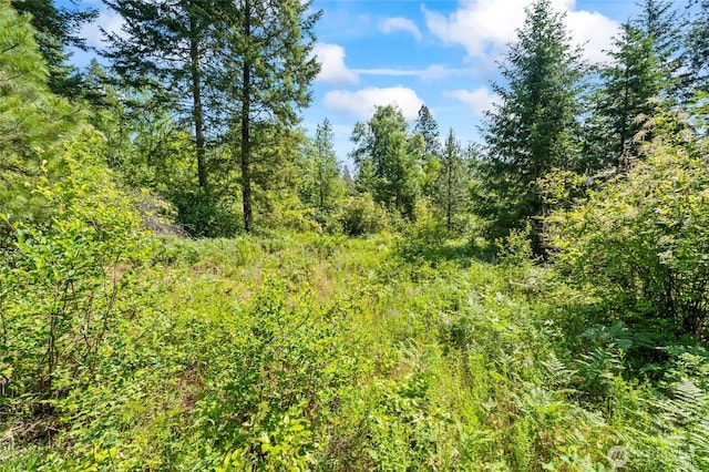 8XX Nancy Creek Rd, Kettle Falls, WA 99141