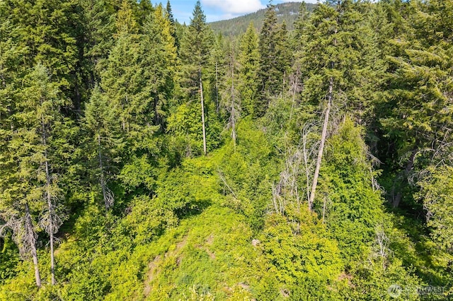8XX Nancy Creek Rd, Kettle Falls, WA 99141