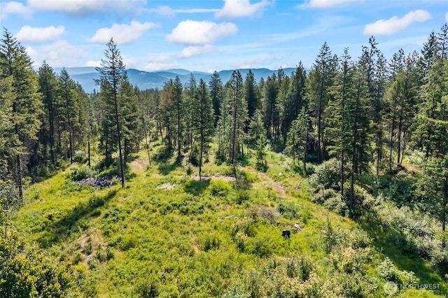 8XX Nancy Creek Rd, Kettle Falls, WA 99141