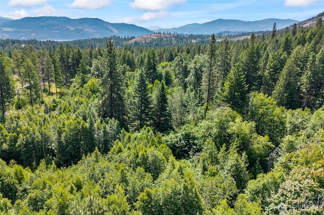 8XX Nancy Creek Rd, Kettle Falls, WA 99141