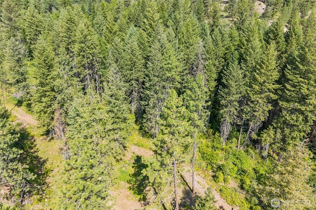 8XX Nancy Creek Rd, Kettle Falls, WA 99141