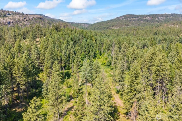 8XX Nancy Creek Rd, Kettle Falls, WA 99141