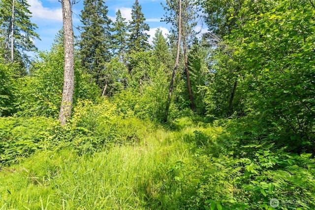 8XX Nancy Creek Rd, Kettle Falls, WA 99141