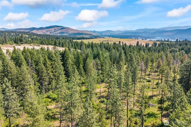 8XX Nancy Creek Rd, Kettle Falls, WA 99141