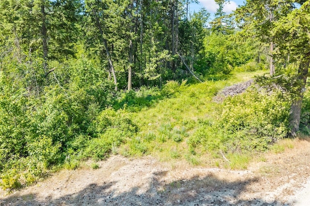 8XX Nancy Creek Rd, Kettle Falls, WA 99141