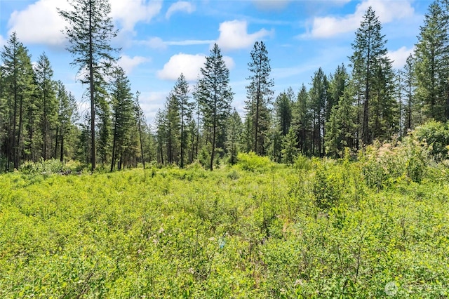 8XX Nancy Creek Rd, Kettle Falls, WA 99141