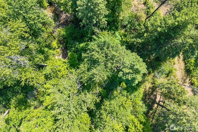8XX Nancy Creek Rd, Kettle Falls, WA 99141