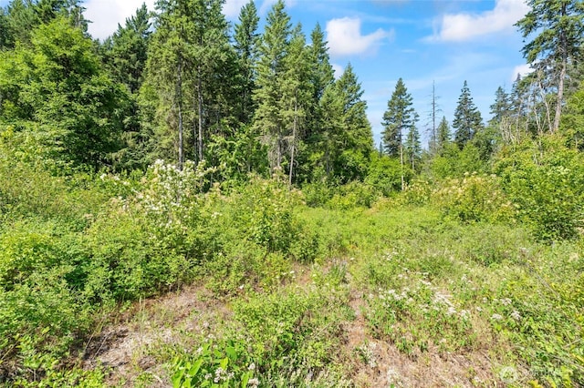 8XX Nancy Creek Rd, Kettle Falls, WA 99141