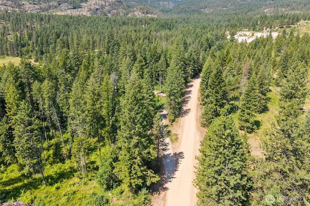 8XX Nancy Creek Rd, Kettle Falls, WA 99141