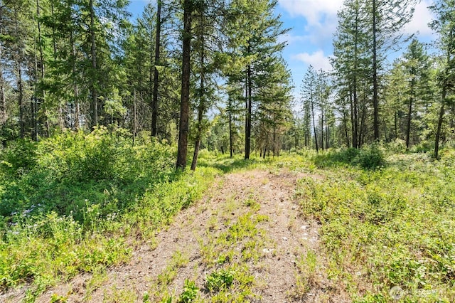 8XX Nancy Creek Rd, Kettle Falls, WA 99141
