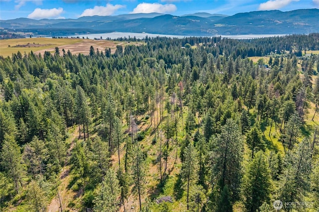 8XX Nancy Creek Rd, Kettle Falls, WA 99141