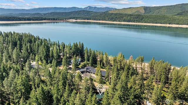 7 Moonshine Ln, Ronald, WA 98940 - bird's eye view of a forest and a water and mountain view
