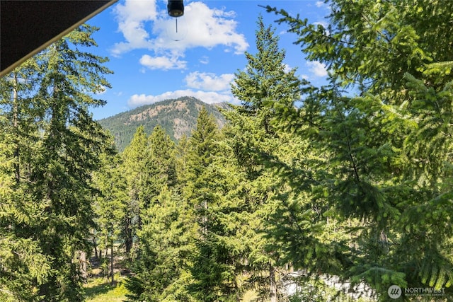 7 Moonshine Ln, Ronald, WA 98940 - mountain view with a forest