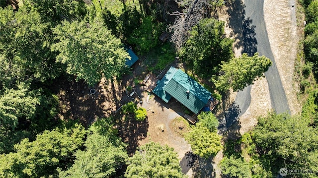 7 Moonshine Ln, Ronald, WA 98940 - view of subject property