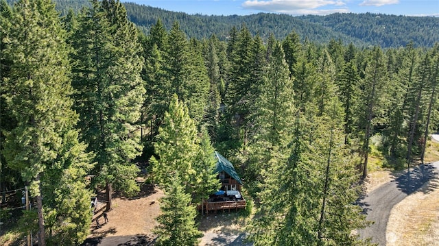 7 Moonshine Ln, Ronald, WA 98940 - view of subject property featuring a heavily wooded area