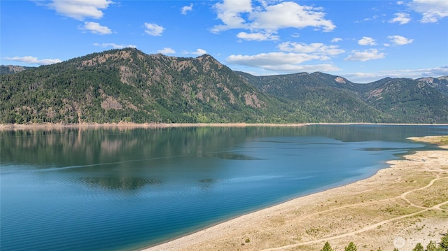 7 Moonshine Ln, Ronald, WA 98940 - water view with a mountainous background