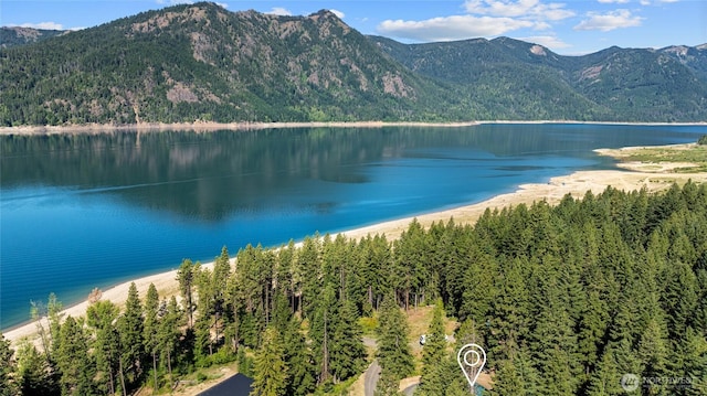 7 Moonshine Ln, Ronald, WA 98940 - water view with mountains and a heavily wooded area
