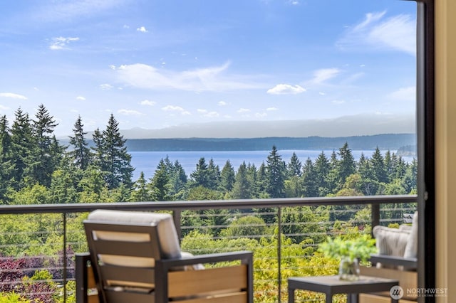 18780 Ridgefield Rd NW, Shoreline, WA 98177 - photo 15