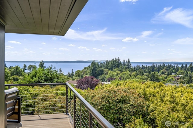 18780 Ridgefield Rd NW, Shoreline, WA 98177 - photo 34