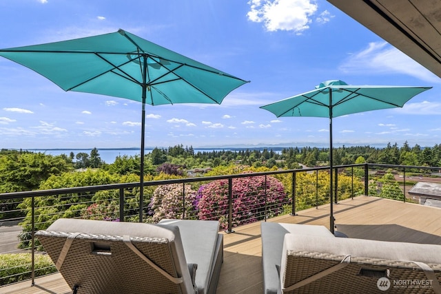 18780 Ridgefield Rd NW, Shoreline, WA 98177 - photo 35