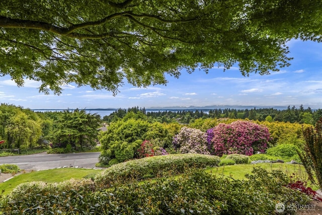 18780 Ridgefield Rd NW, Shoreline, WA 98177 - photo 38