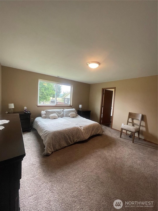 1717 Krause Rd, Raymond, WA 98577 - view of carpeted bedroom