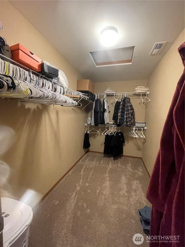 1717 Krause Rd, Raymond, WA 98577 - spacious closet with carpet floors