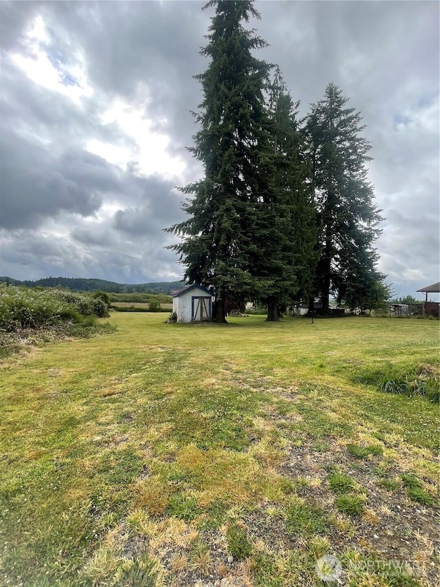 1717 Krause Rd, Raymond, WA 98577 - view of green lawn with a storage unit