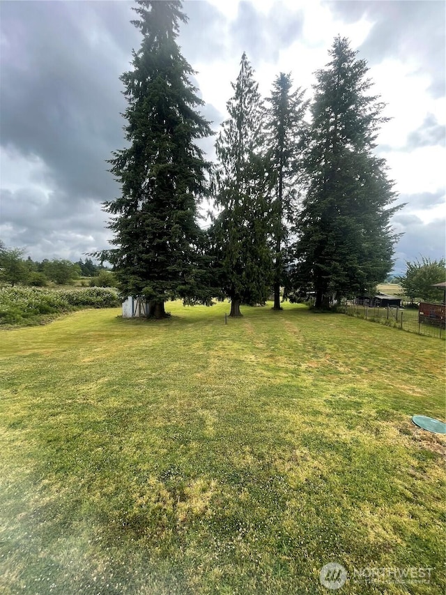 1717 Krause Rd, Raymond, WA 98577 - view of yard