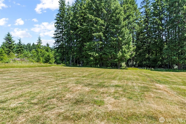 106 Barba Rd, Castle Rock, WA 98611 - view of grassy yard