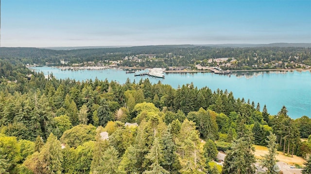 10761 Bill Point Crst NE, Bainbridge Island, WA 98110 - bird's eye view of a forest and a nearby body of water