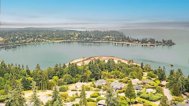 10761 Bill Point Crst NE, Bainbridge Island, WA 98110 - drone / aerial view of a large body of water