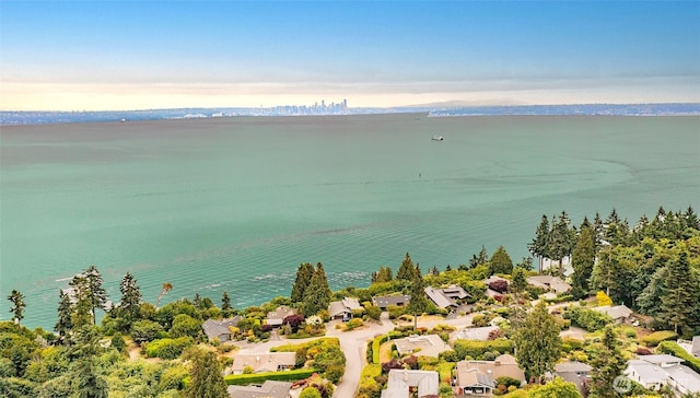 10761 Bill Point Crst NE, Bainbridge Island, WA 98110 - aerial perspective of suburban area with a nearby body of water