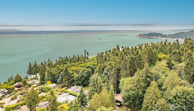 10761 Bill Point Crst NE, Bainbridge Island, WA 98110 - water view featuring a heavily wooded area