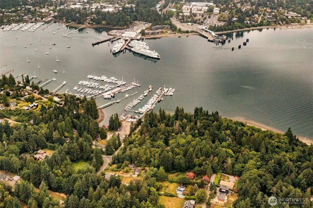 10761 Bill Point Crst NE, Bainbridge Island, WA 98110 - drone / aerial view of a large body of water and numerous boat docks
