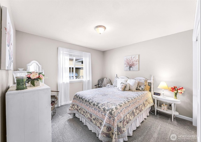 824 Orth Way, Sedro Woolley, WA 98284 - bedroom with carpet flooring and baseboards