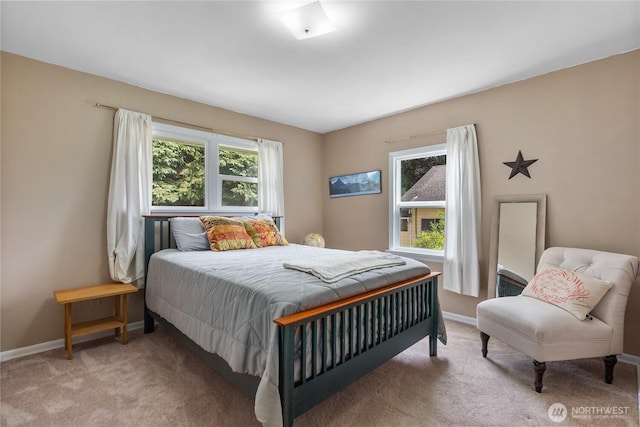 258 Mcarthur St S, Tenino, WA 98589 - photo 19