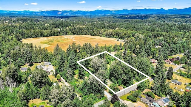 12813 2nd St SE, Lake Stevens, WA 98258